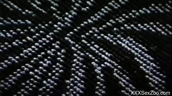 Amateur women in vintage zoophilia scenes when they fuck big time