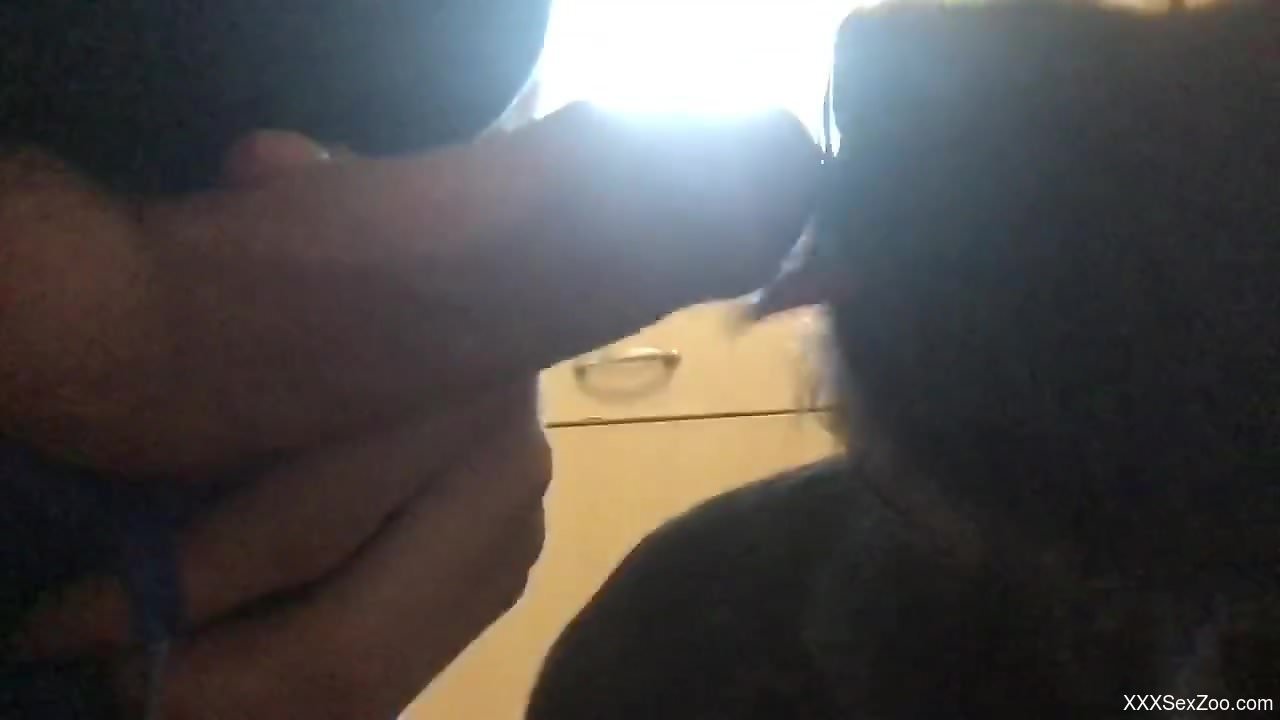 Dude uses his veiny cock to pleasure the animal