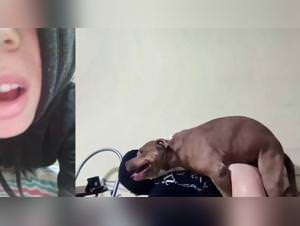 Woman Dog Sex 110/144