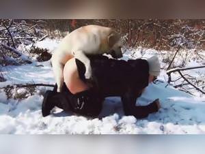 Slut fucks big dog hard