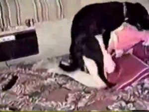 Milly Dog Fucked Brutally