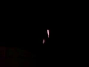 Giselle Dog Anal Sex - Extreme Zoophilia