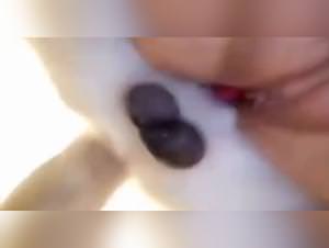 Dog fuck wild teen wife