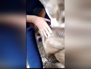 Dog Fuck Girl Milly Part 1 - Extreme Sex