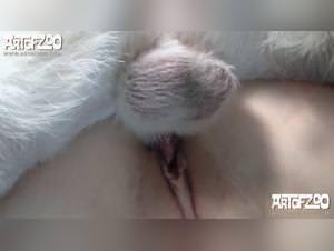 Tube Por : fuck dog, fapzoo.net, bestiality hd