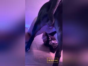 Sonya animal sex wild