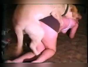 Woman's Dog: Brutal Animal Sex