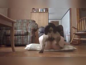 Asian Slave Fucked Dog Kitchen