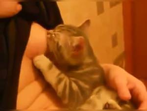 Cat Gets Creampied, Delicious Fill