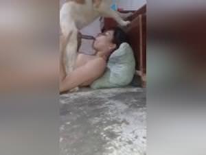 Amateur Dog Blowjob - Extreme Beastiality Videos