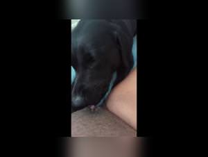 Black is a snack! Zoo Animal Sex Videos for Hot Girls