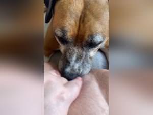 Dirty dog licks my pussy wild