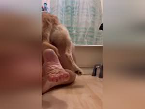 Curvy slut fucked hard by dog in bathroom