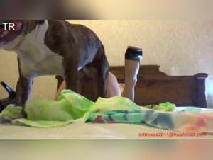 Mom fucks her dog, extreme sex