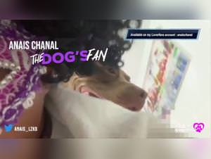 Dog Fucking Girls : Bestiality XXX Videos