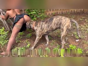 Girl sucks dog, sexo zoofilia, bestiality vids extreme xxx