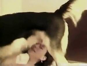 Dog extreme bestiality