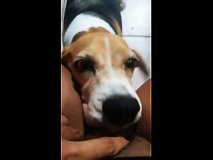 Beasteality Meets Zoo Art Love: Sluts, Dogs, and Unexpected Encounters