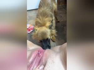 Asian dog cumming XXX video extreme