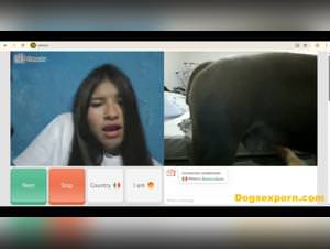 Hot girl reacts, dog sex live feed