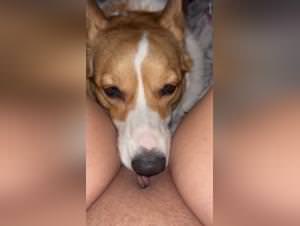 Dog Licking Babe Extreme