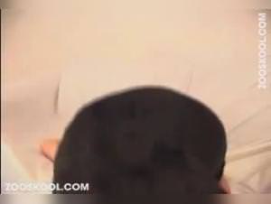 Slut Gets Dogged Raw