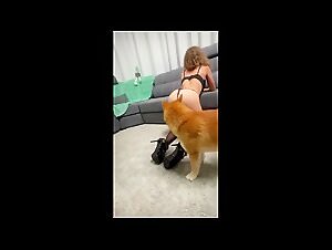 The Art of Dog Fucking: Dogs That Turn Girls On