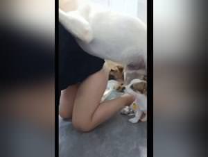 Animal sex extreme: she loves her dogs