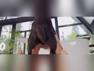 Valentines Raw: Dog Fuck Frenzy