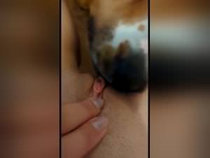 Miss Alice Dog Sex Video Extreme