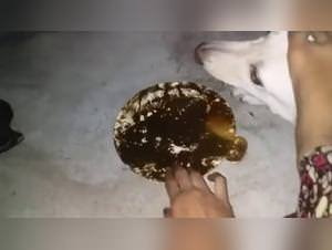 Dog & Feet 2 - Woman Gets Fucked