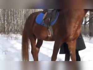 Katya TeamRussia fucks horse