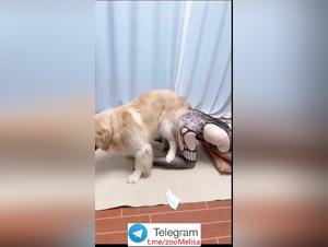 Chinese Teen Dog Sex Part 2