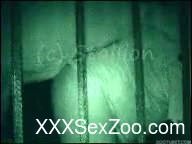 Horse owning lustful female in cell at midnight