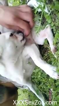 Naked woman masturbates and tries sex with the dog in outdoor scenes