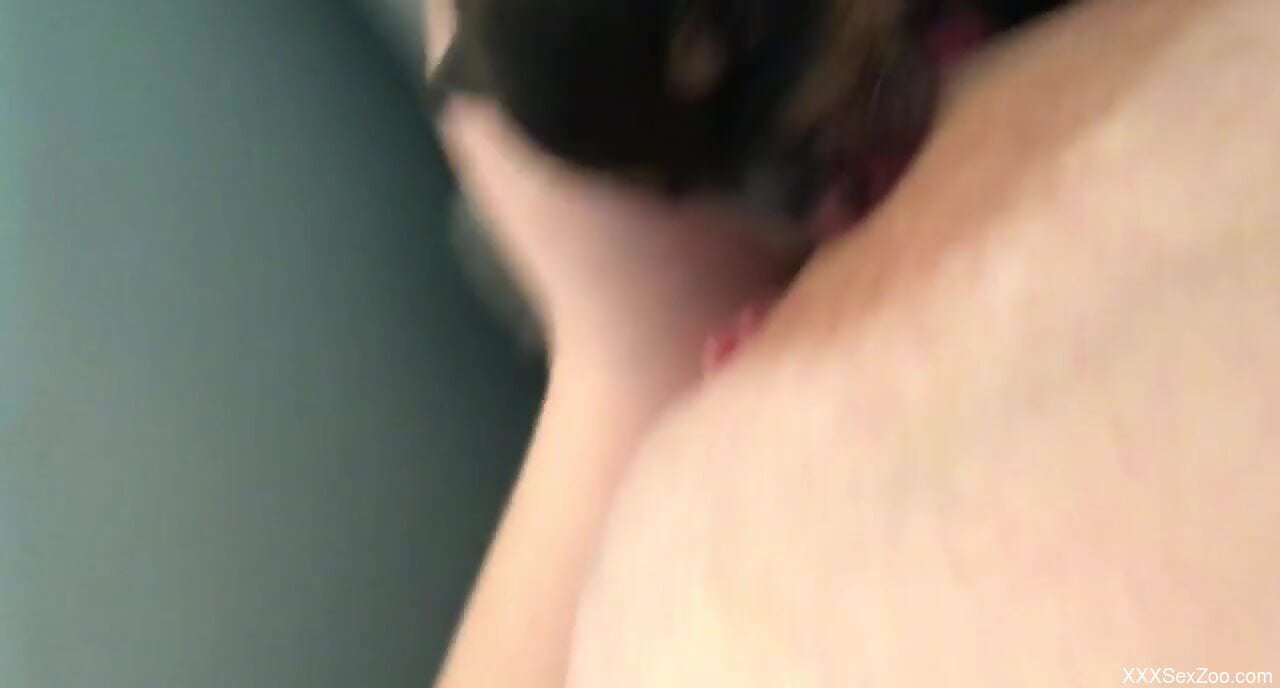 Small dog sucks on the woman's nipples and turns her on