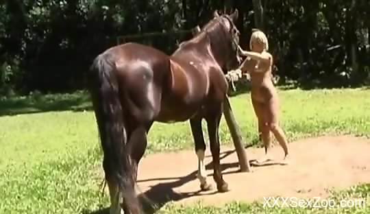 Well-endowed horse fucking a blonde Latina beauty