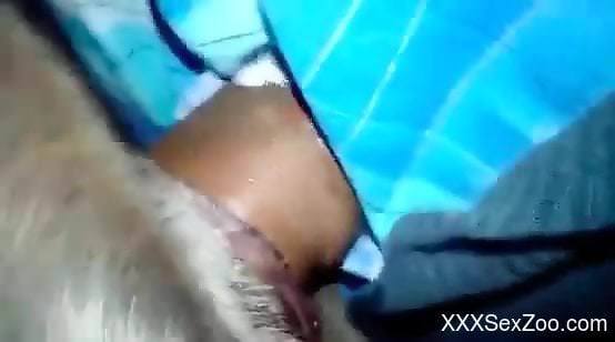 Dude destroying an animal's tight hole with his cock