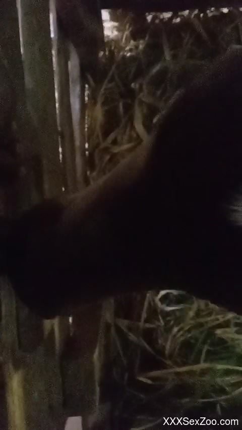 Closeup zoo action that will get you all excited