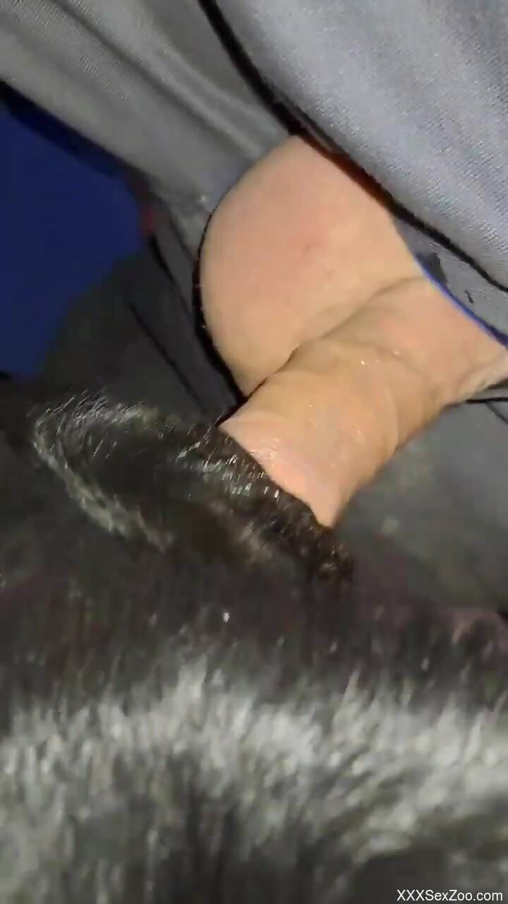 Hot beast's tight hole stretched by a veiny boner