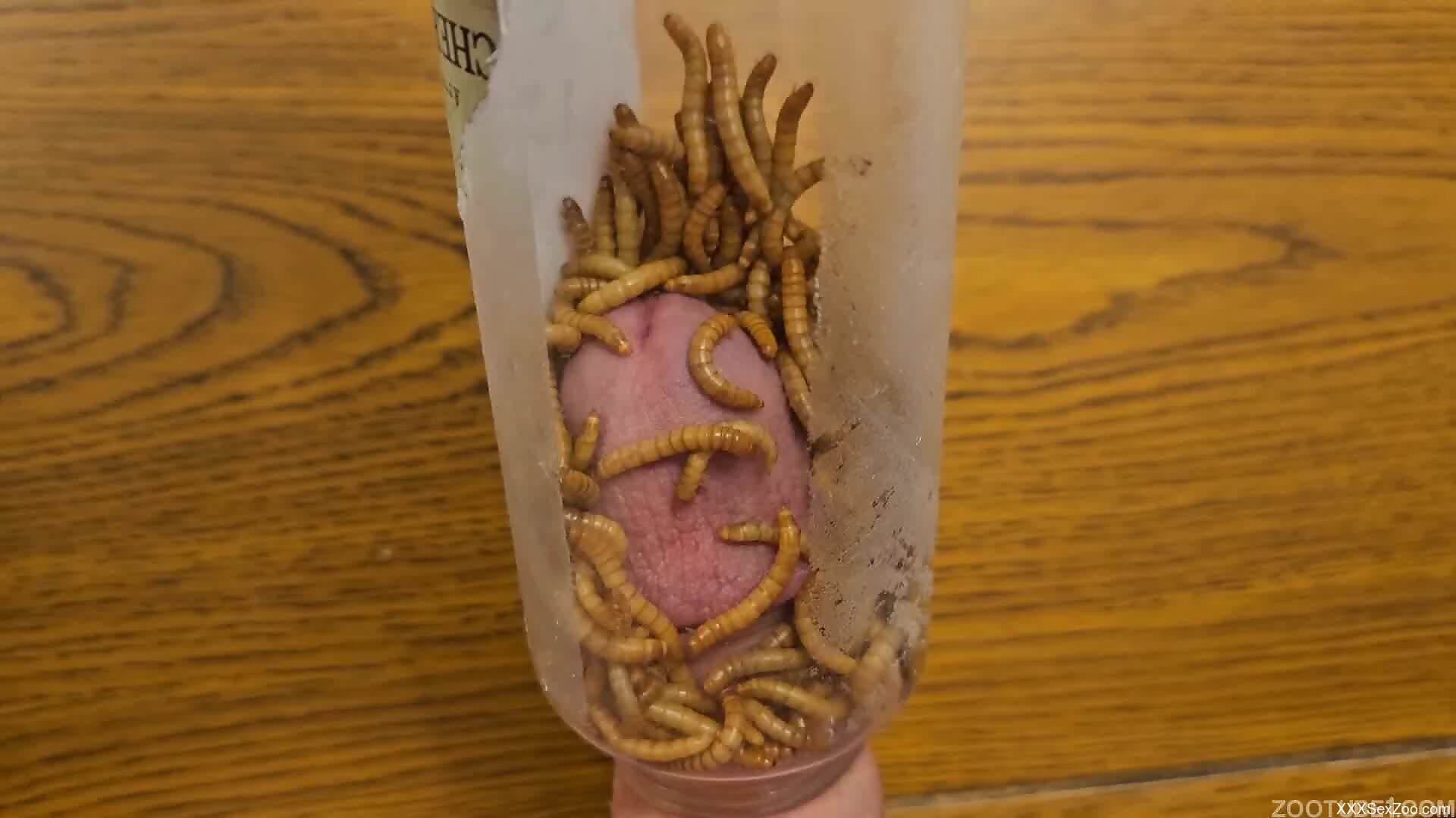 Man pushes dick in worms to better stimulate his dirty mind