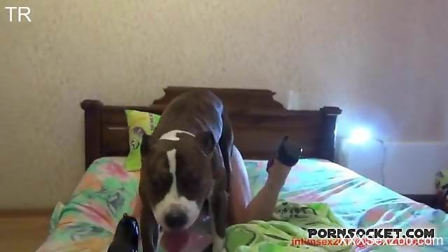 Big booty blonde with a trimmed cunt gets fucked by a dog