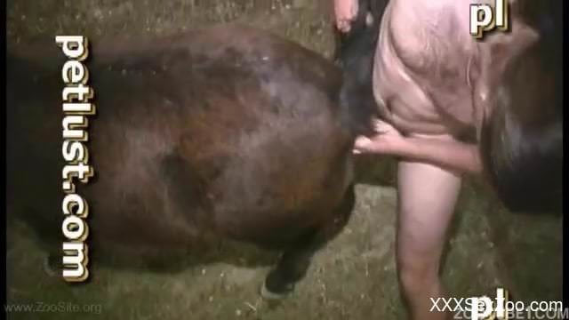 Farmer gives his horse a rimjob and then fucks it hard