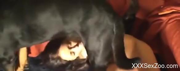 Raven haired lady loves passionate zoophilic loving