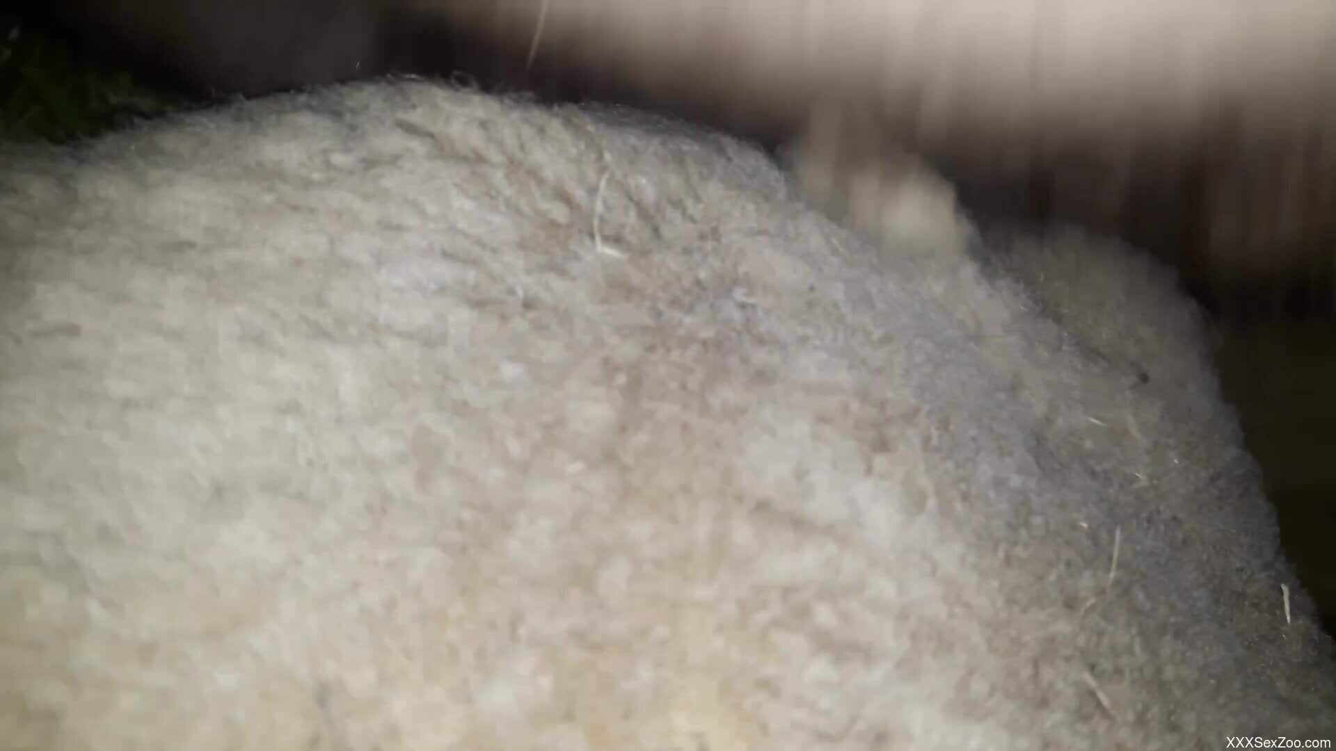 Yet another beast is happy to get fucked hard