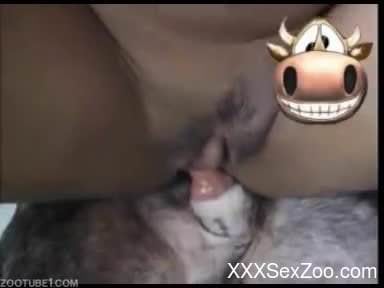 Amateur dog porn on cam with women addicted to the rough shagging