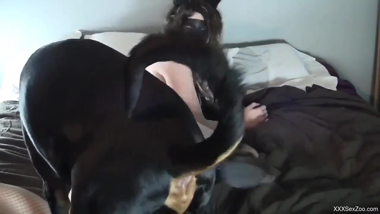 Chesty chick enjoys a hot titjob and some pussy eating