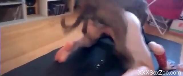 Solo woman tries the dog for merciless sex in homemade scenes