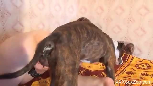 Pink pussy hottie power-fucked while on all fours