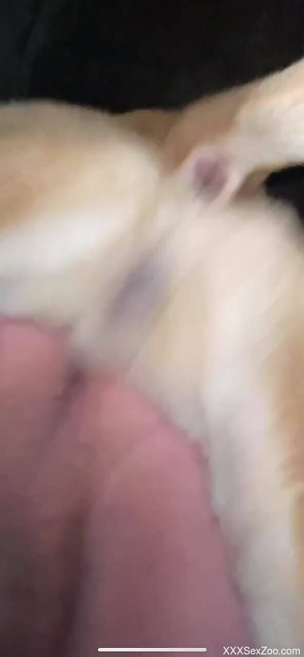 Tight amateur enjoys anal with the dog in loud scenes